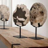 Must Living Statue Fossil - Ornament - MUST Living - livinglovely.nl