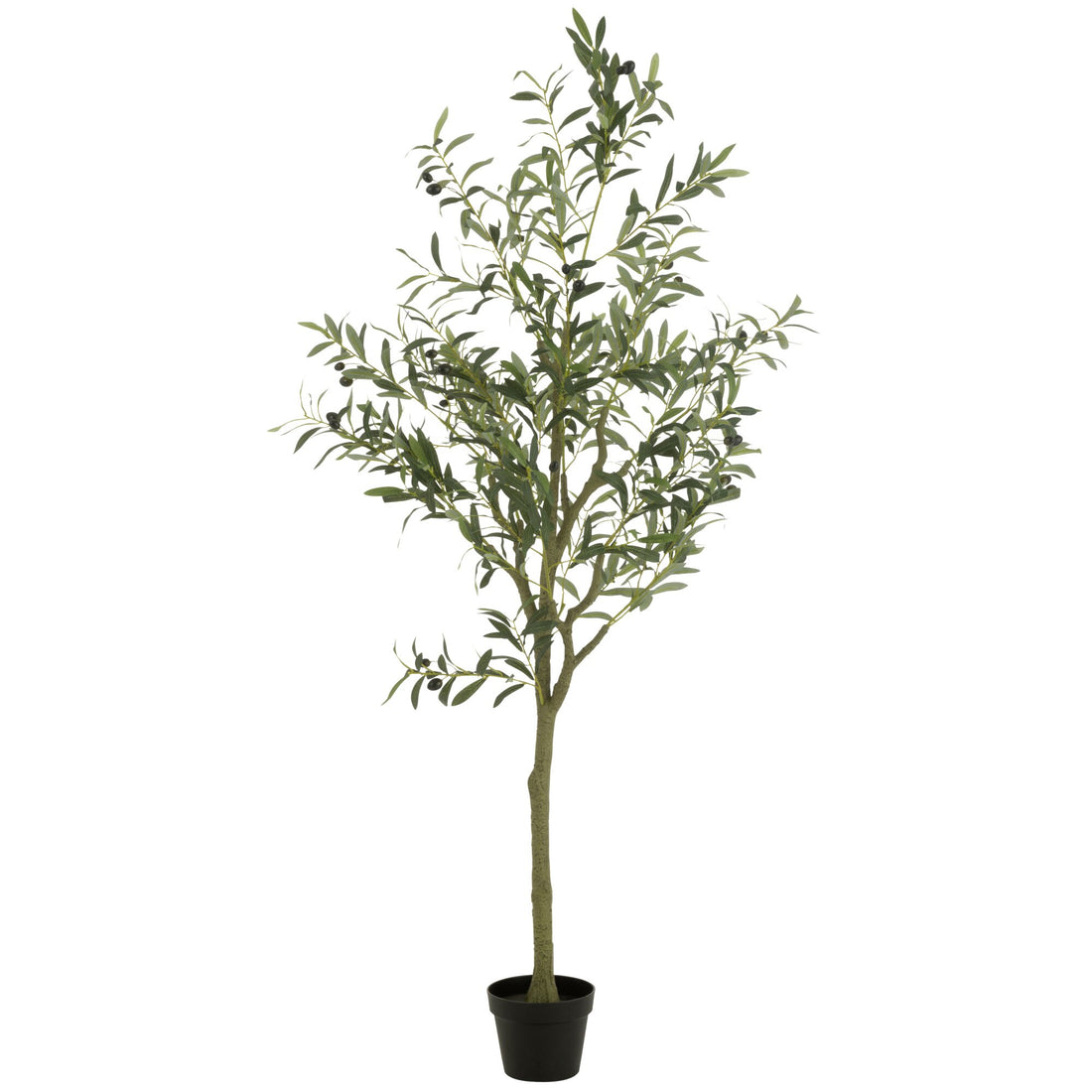 Olivenbaum im Topf Kunst Kunststoff Grün Large H180cm J-Line