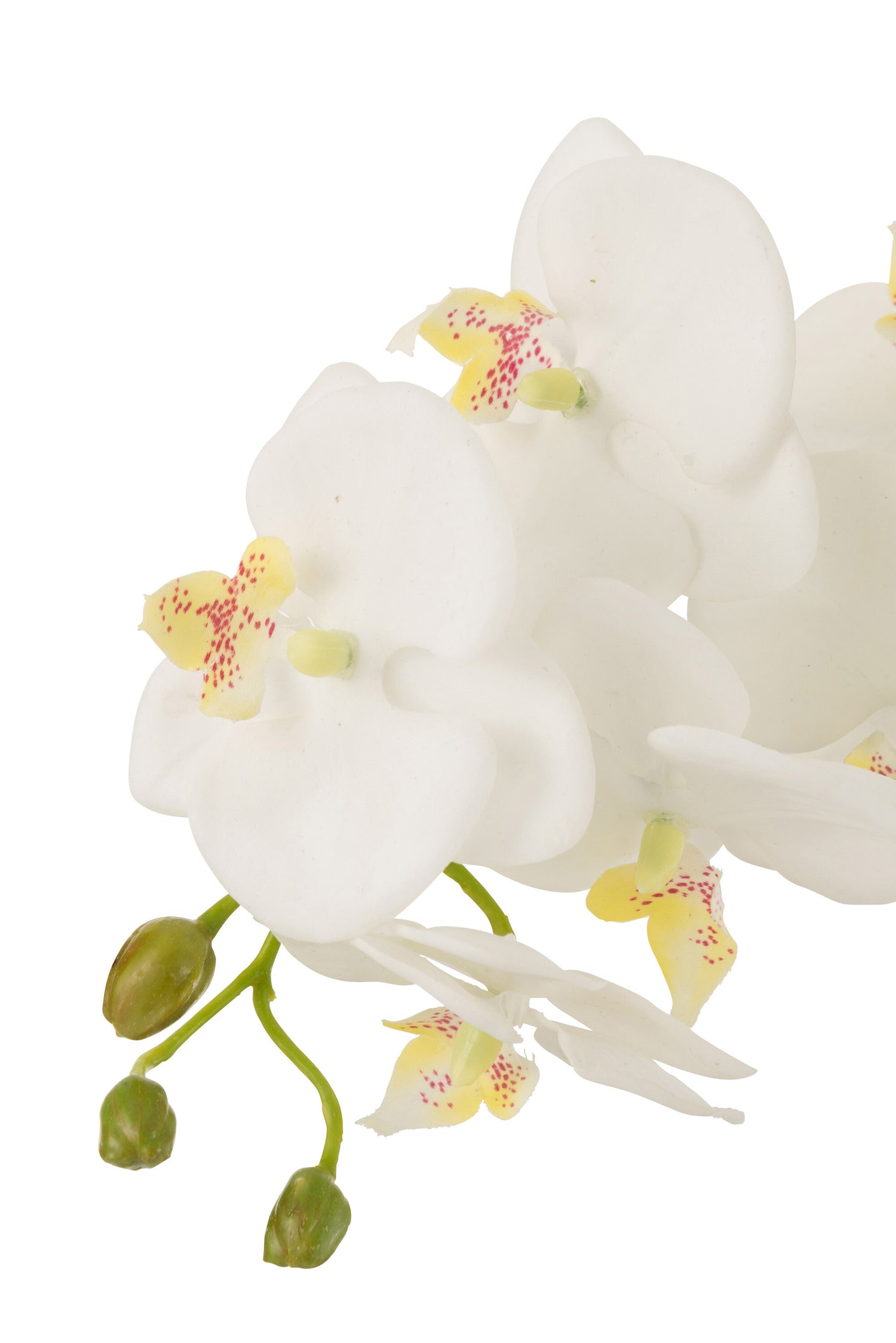 Orchidee In Aarde Plastiek Wit/Groen Large 32x32x75cm - Kunstplant - J-Line - livinglovely.nl