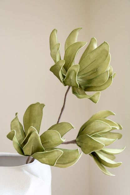 Bloem 3 Koppen Eva Groen J-Line