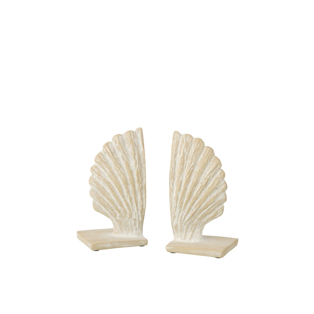 2er-Set Buchstützen Seemuschel Polyresin Weiß/Natur J-Line