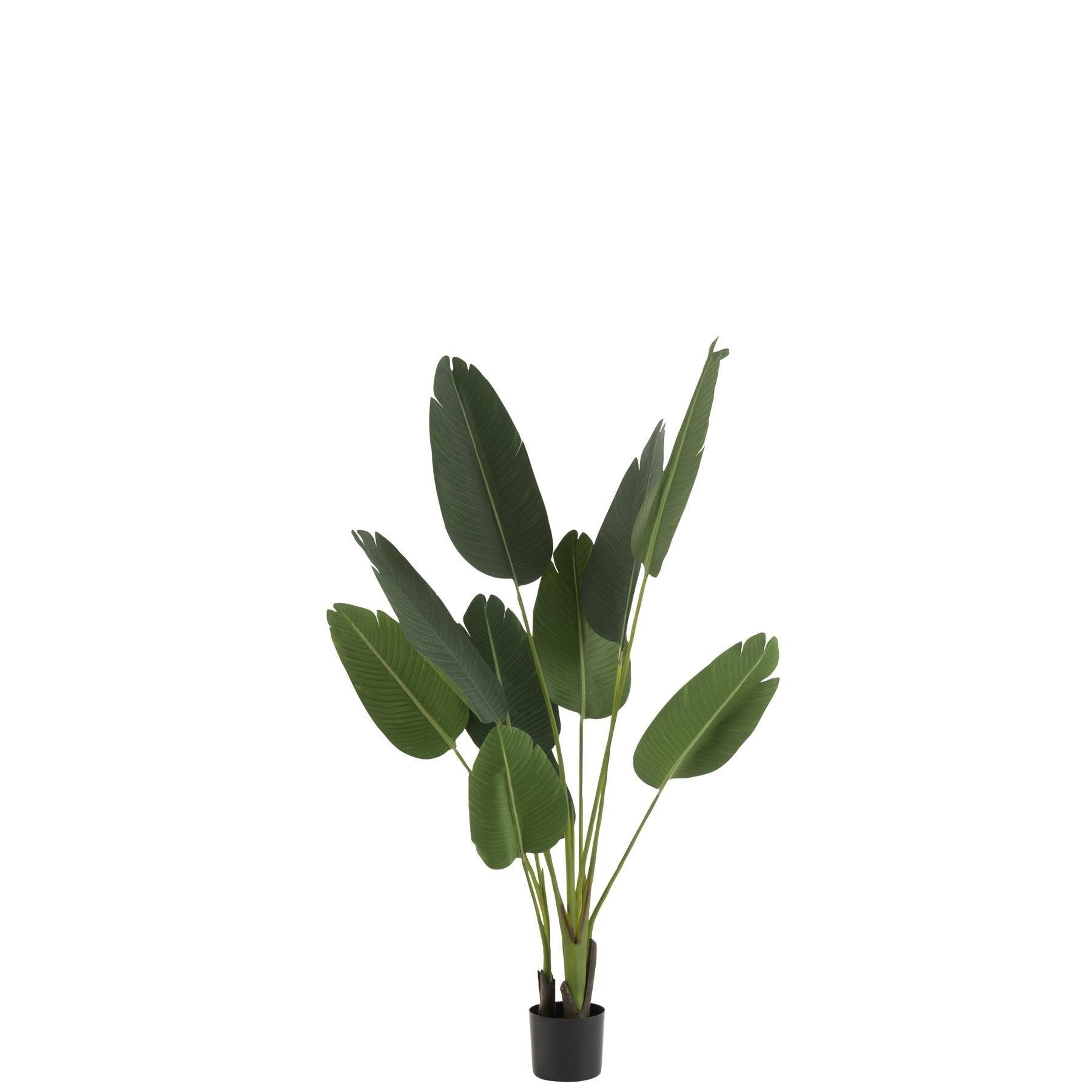 Strelitzia Plastiek Groen Small - Kunstplant - J-Line - livinglovely.nl