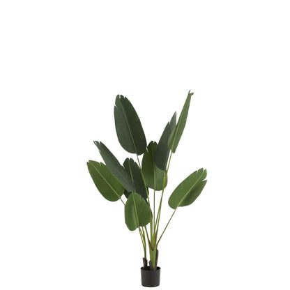 Strelitzia Plastiek Groen Small - Kunstplant - J-Line - livinglovely.nl