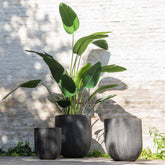 Strelitzia Plastiek Groen Small - Kunstplant - J-Line - livinglovely.nl