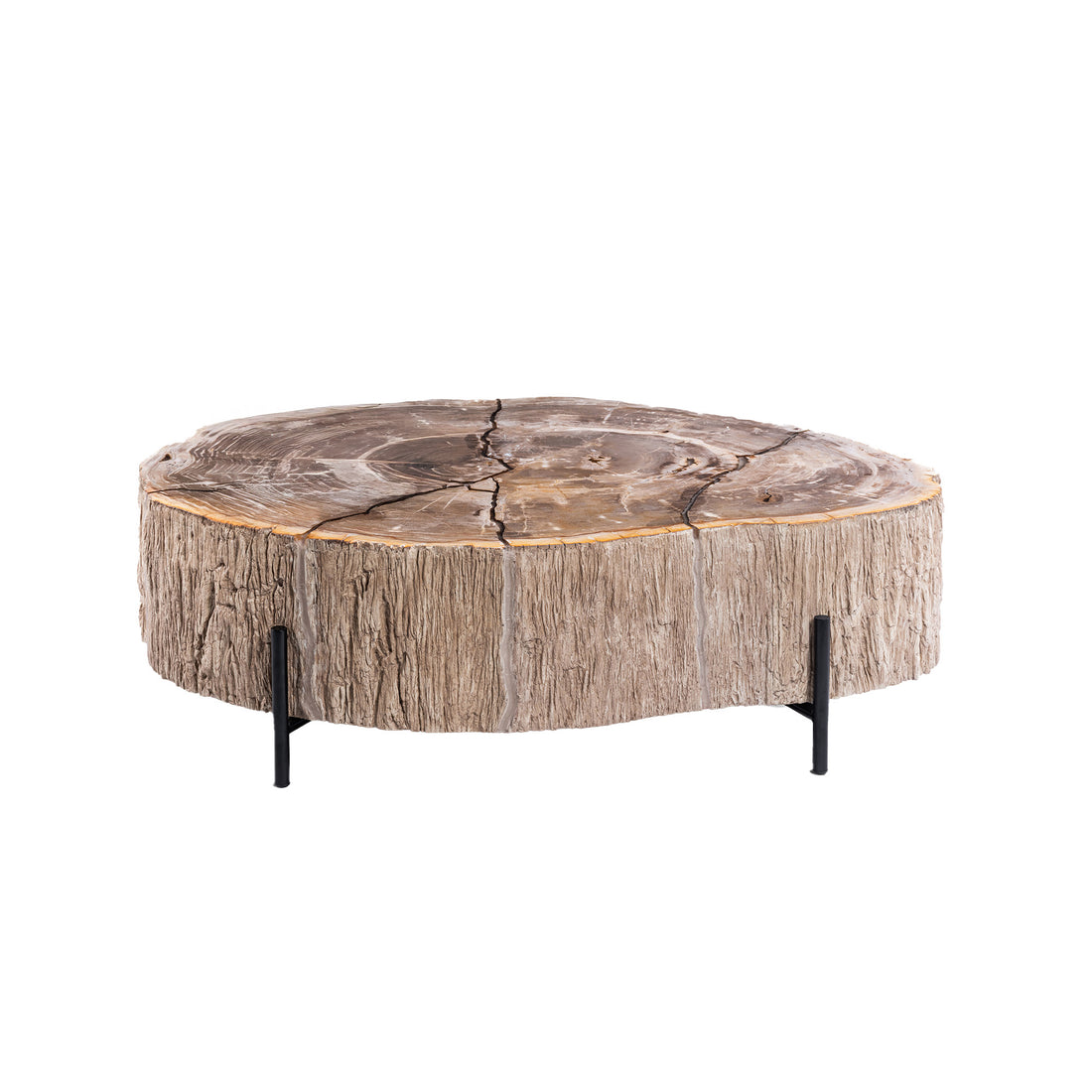 Taly Koffietafel Large van PTMD, grote salontafel van versteend hout op zwarte metalen poten op wit