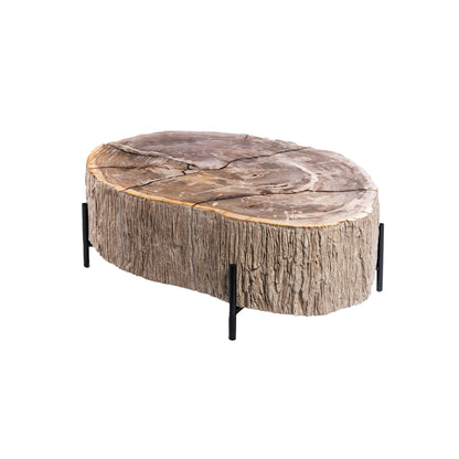 Taly Koffietafel Large van PTMD, schuin vooraanzicht van het naturel blad met boomstamrand