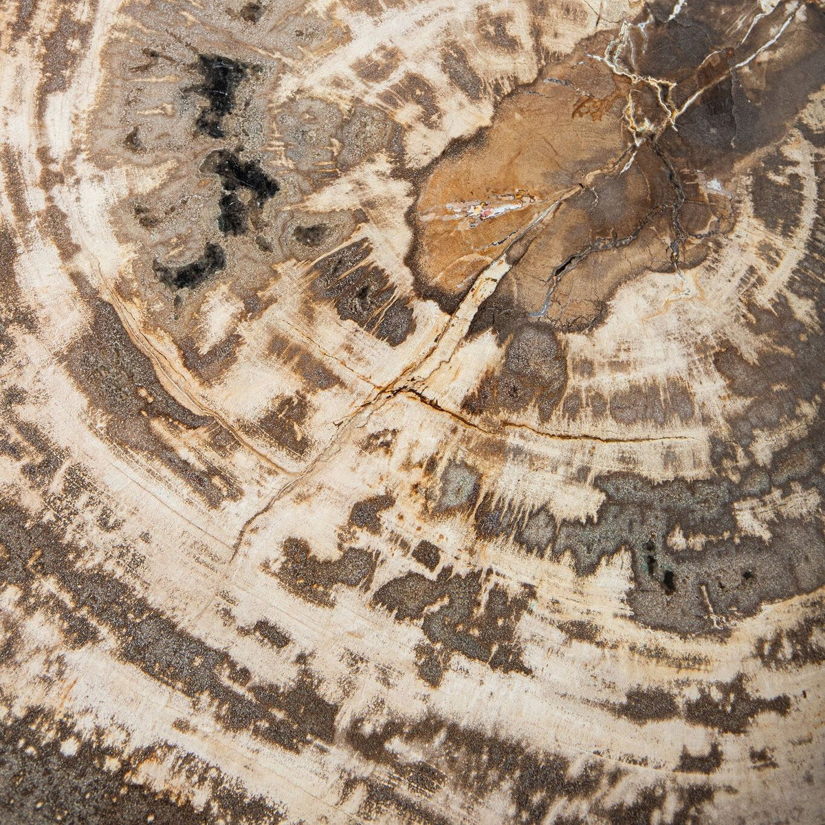 Taly Koffietafel Large van PTMD, bovenaanzicht van de unieke tekening in het versteende hout