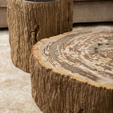 Taly Kruk Versteend Hout van PTMD, kruk achter de Taly salontafel met jaarringen