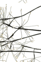 Tree 3000 Led Metal Black Large - - J-Line - livinglovely.nl