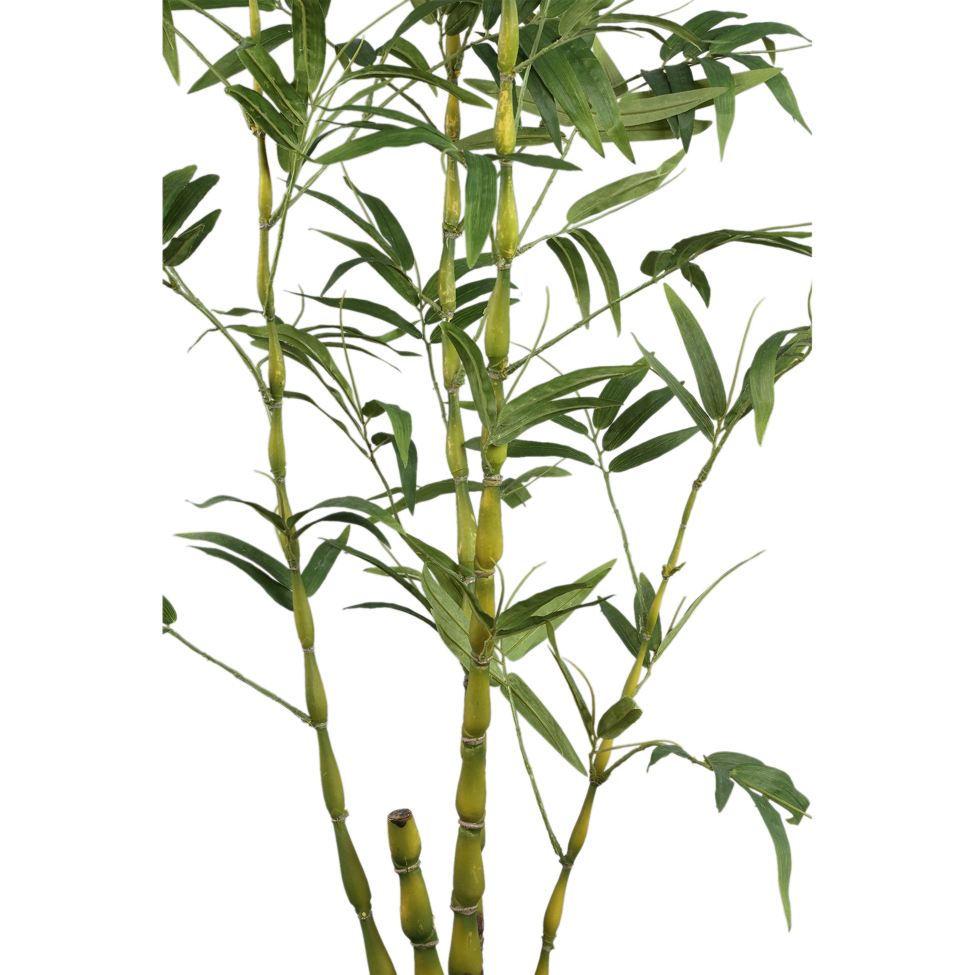 Tree Green Bamboo Tree In Pot 135x80x150cm PTMD - Kunstplant - PTMD - livinglovely.nl