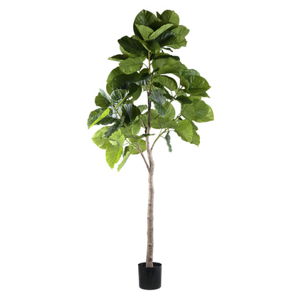 Tree Green Ficus Tree In Pot L 118x 85x183cm PTMD - Kunstplant - PTMD - livinglovely.nl