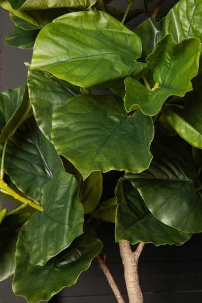 Tree Green Ficus Tree In Pot M 109x115x15,5cm PTMD - Kunstplant - PTMD - livinglovely.nl