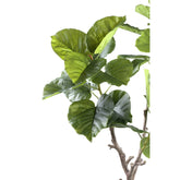 Tree Green Ficus Tree In Pot S 94x75x122cm PTMD - Kunstplant - PTMD - livinglovely.nl
