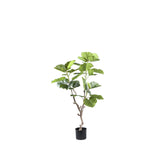 Tree Green Ficus Tree In Pot S 94x75x122cm PTMD - Kunstplant - PTMD - livinglovely.nl