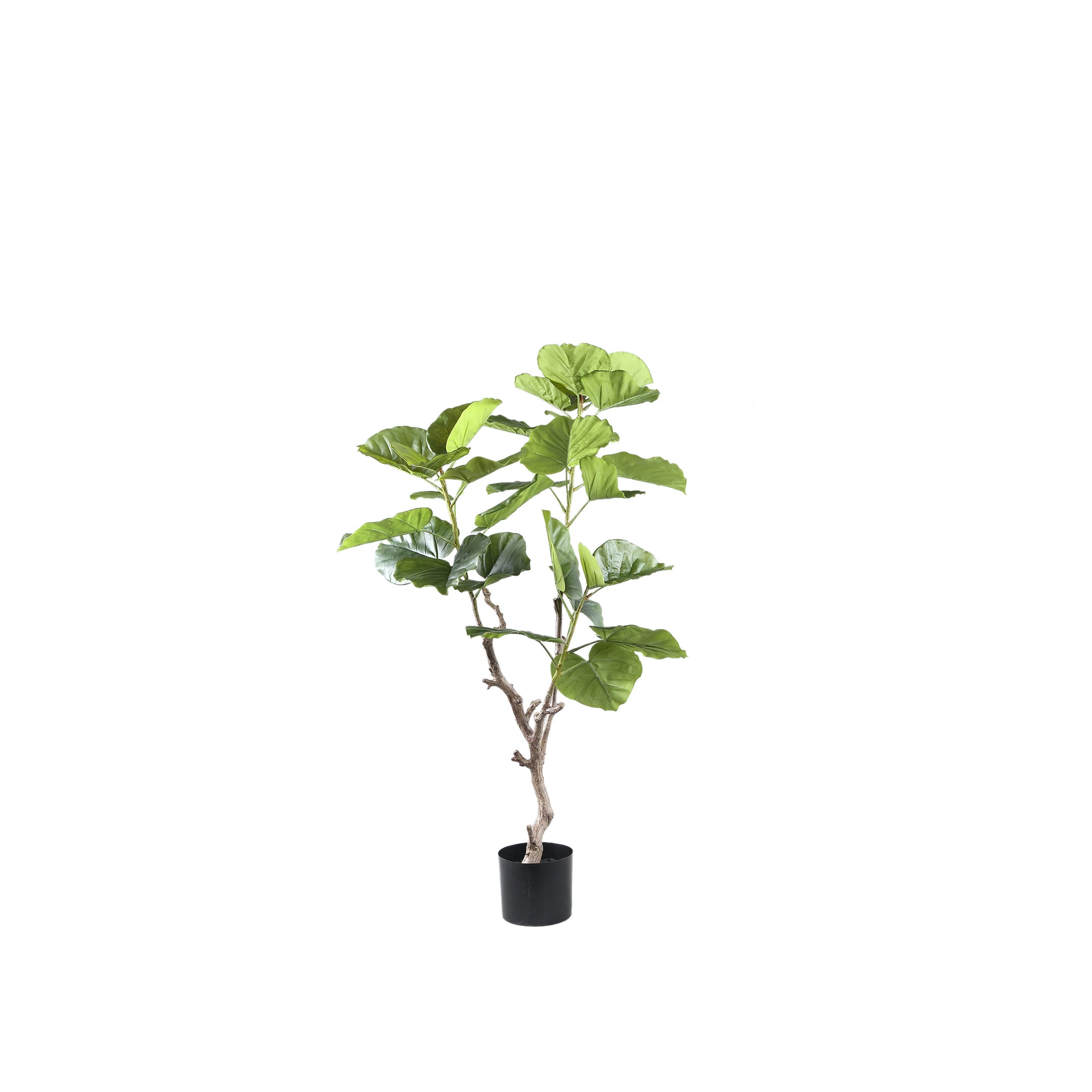 Tree Green Ficus Tree In Pot S 94x75x122cm PTMD - Kunstplant - PTMD - livinglovely.nl