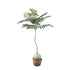 Tree Green Jacaranda Tree In Pot 43x45x99cm PTMD - Kunstplant - PTMD - livinglovely.nl