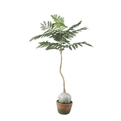 Tree Green Jacaranda Tree In Pot 43x45x99cm PTMD - Kunstplant - PTMD - livinglovely.nl