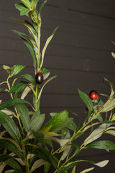 Tree Green Olive Tree In Pot S 92x65x126cm PTMD - Kunstplant - PTMD - livinglovely.nl
