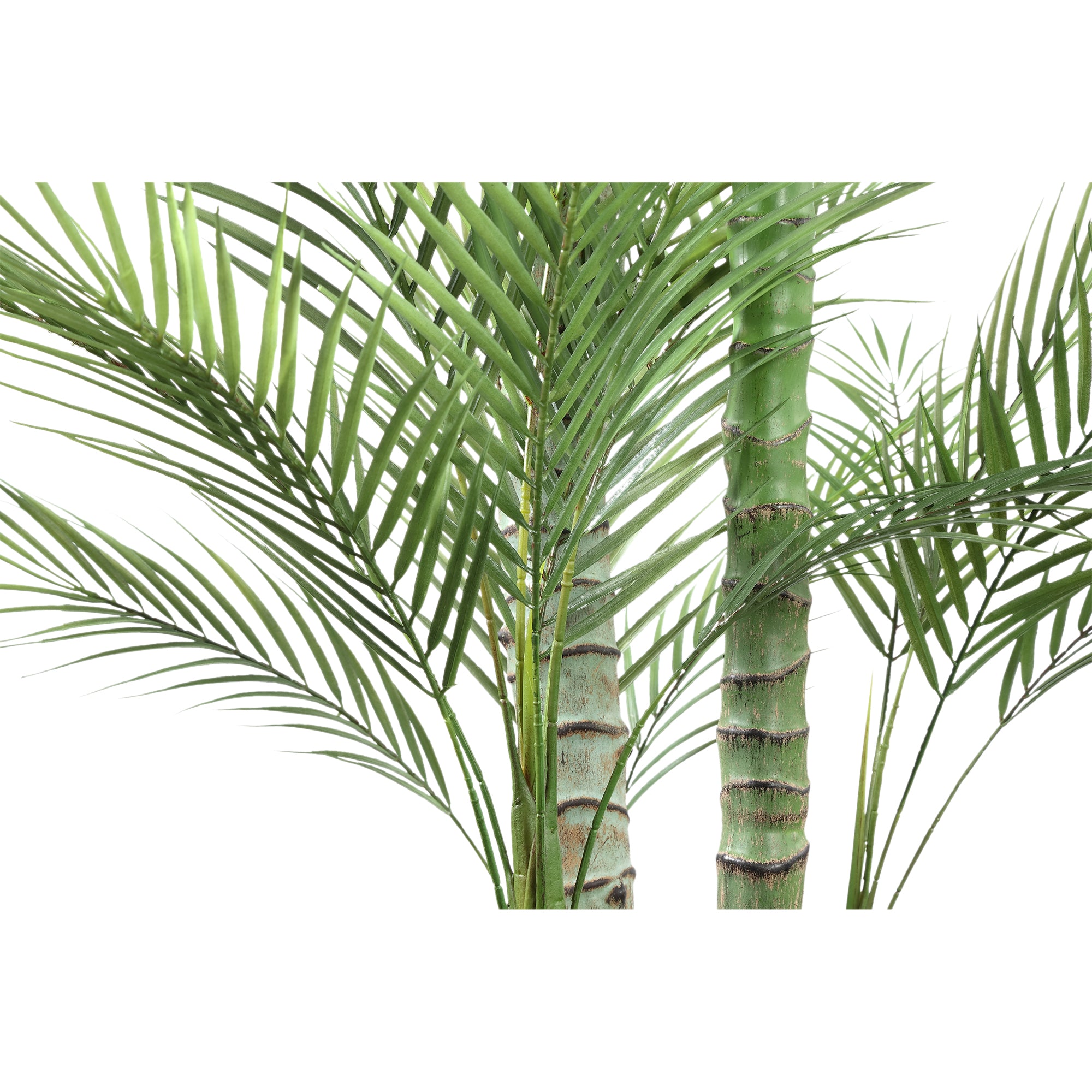 Tree Green Palm Tree In Black Pot 160x160.x248cm PTMD - Kunstplant - PTMD - livinglovely.nl