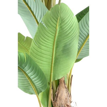 Tree Green PE Real Touch Banana Tree L 170x163x280cm PTMD - Kunstplant - PTMD - livinglovely.nl