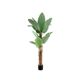 Tree Green PE Real Touch Banana Tree M 133x149x208cm PTMD - Kunstplant - PTMD - livinglovely.nl