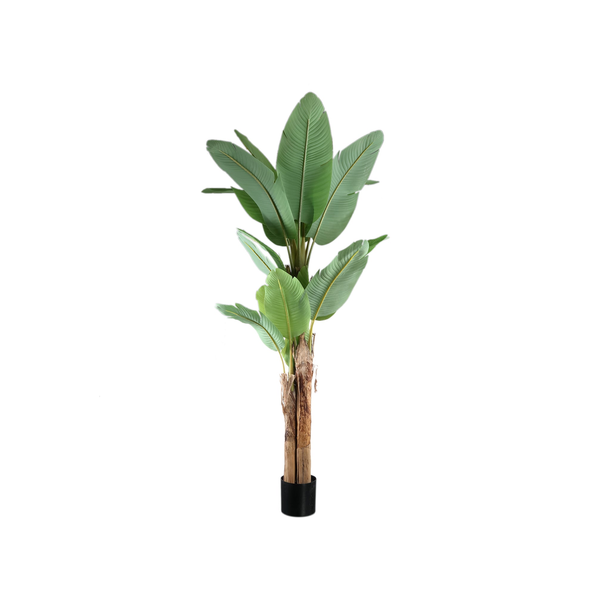 Tree Green PE Real Touch Banana Tree M 133x149x208cm PTMD - Kunstplant - PTMD - livinglovely.nl