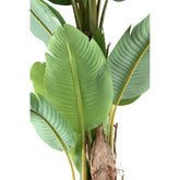 Tree Green PE Real Touch Banana Tree M 133x149x208cm PTMD - Kunstplant - PTMD - livinglovely.nl