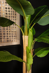 Tree Green PE Real Touch Banana Tree S 110x108x155cm PTMD - Kunstplant - PTMD - livinglovely.nl