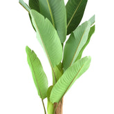Tree Green PE Real Touch Banana Tree S 110x108x155cm PTMD - Kunstplant - PTMD - livinglovely.nl