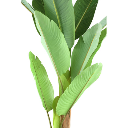 Tree Green PE Real Touch Banana Tree S 110x108x155cm PTMD - Kunstplant - PTMD - livinglovely.nl