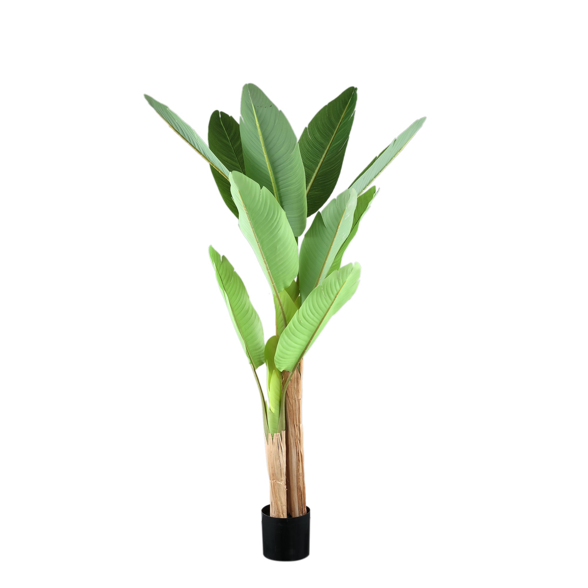 Tree Green PE Real Touch Banana Tree S 110x108x155cm PTMD - Kunstplant - PTMD - livinglovely.nl
