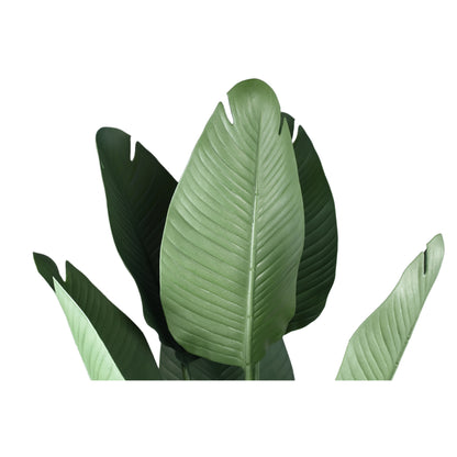 Tree Green Travellers Palm 6 Leaves In Plastic Pot 75x75x120cm PTMD - Kunstplant - PTMD - livinglovely.nl