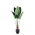 Tree Green Travellers Palm 6 Leaves In Plastic Pot 75x75x120cm PTMD - Kunstplant - PTMD - livinglovely.nl