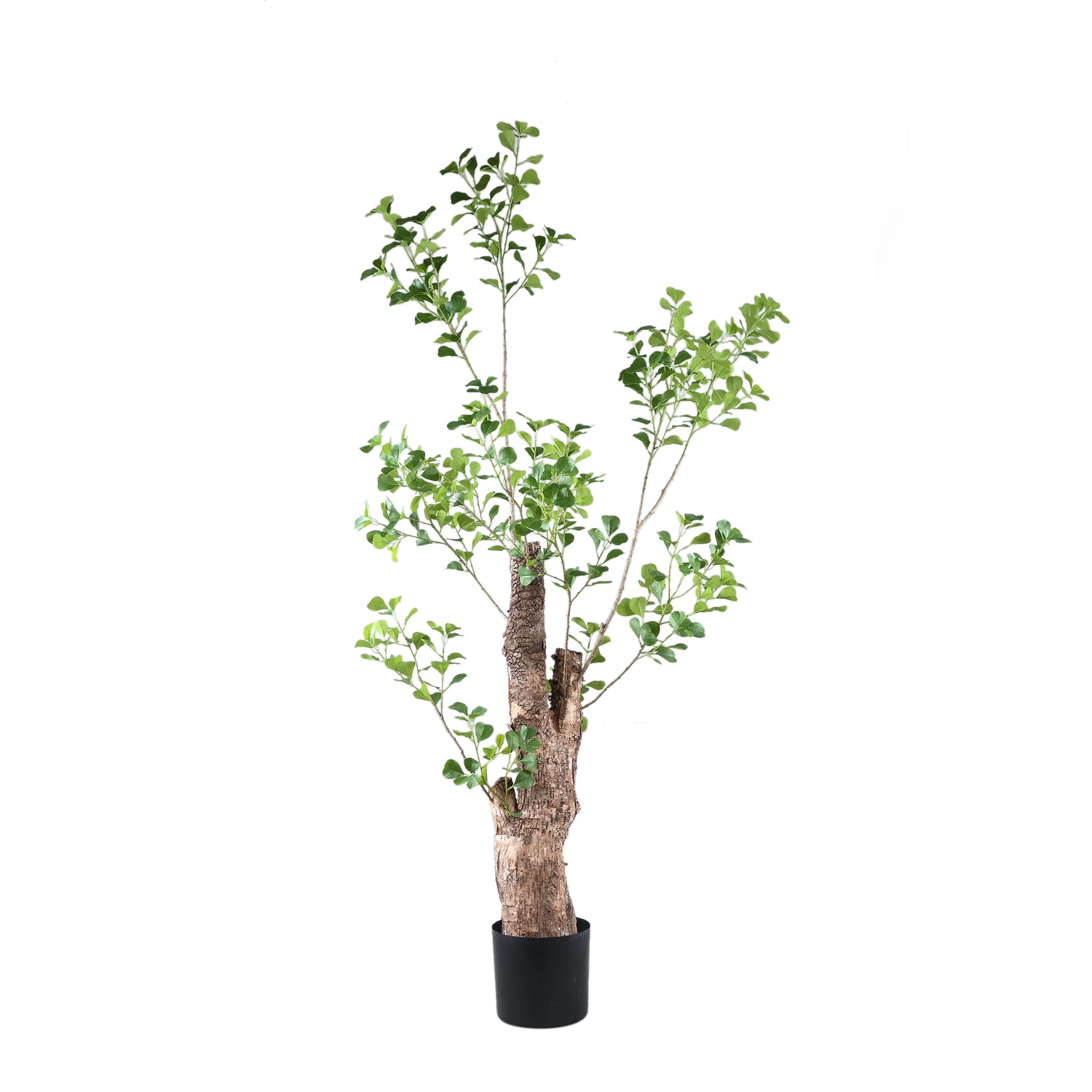 Tree Green Triangularis Tree In Pot 80x80x180cm PTMD - Kunstplant - PTMD - livinglovely.nl