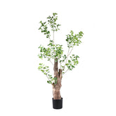 Tree Green Triangularis Tree In Pot 80x80x180cm PTMD - Kunstplant - PTMD - livinglovely.nl