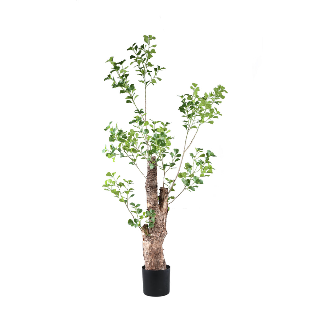 Tree Green Triangularis Tree In Pot 80x80x180cm PTMD - Kunstplant - PTMD - livinglovely.nl