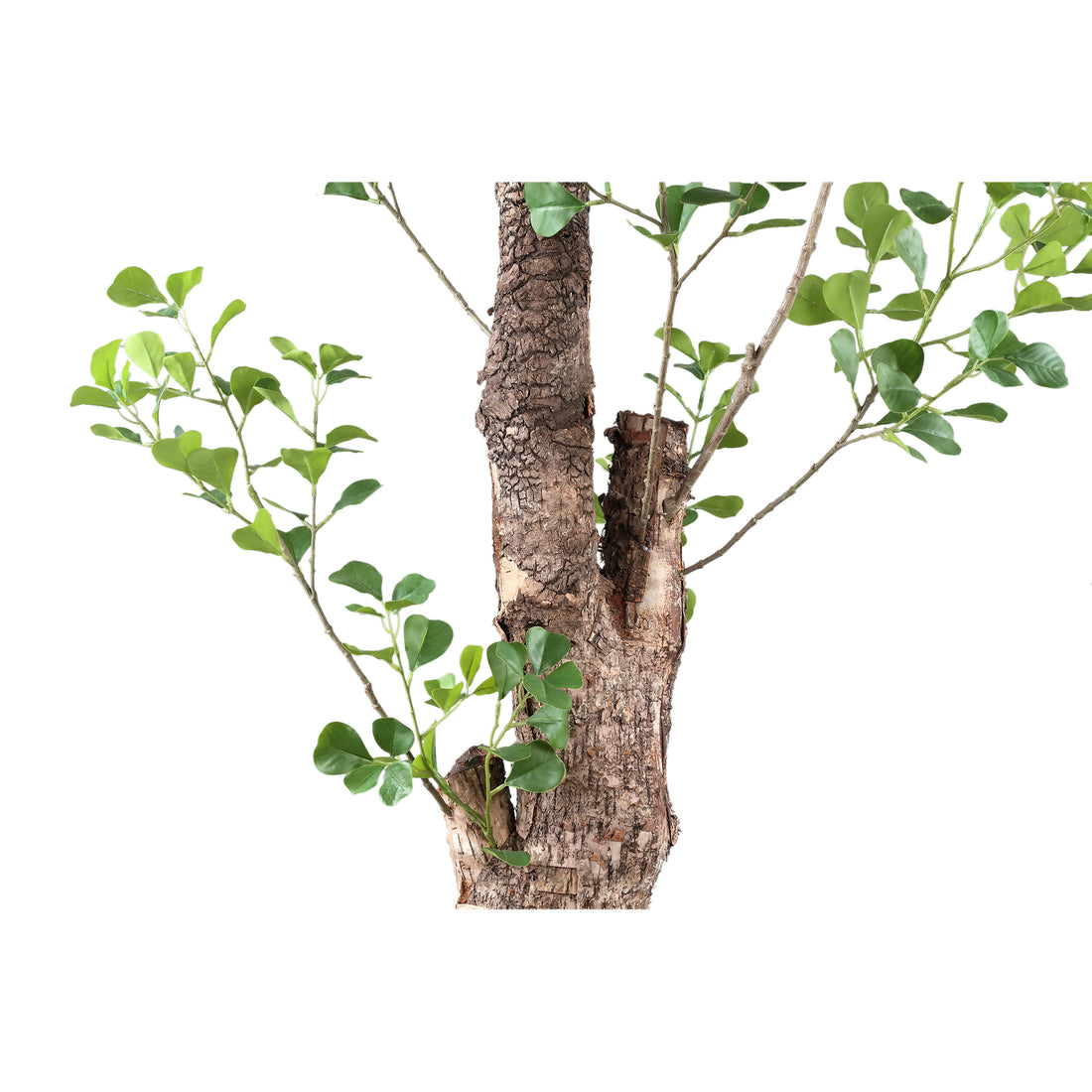 Tree Green Triangularis Tree In Pot 80x80x180cm PTMD - Kunstplant - PTMD - livinglovely.nl