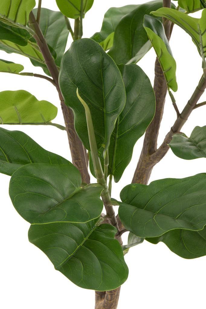 Vioolbladplant Plastiek Groen - Kunstplant - J-Line - livinglovely.nl