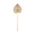 Wandblad Palm Naturel Small van MUST Living, smal palmblad in naturel aan de wand
