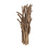 Wandlamp Spot naturel Ø37cm MUST Living